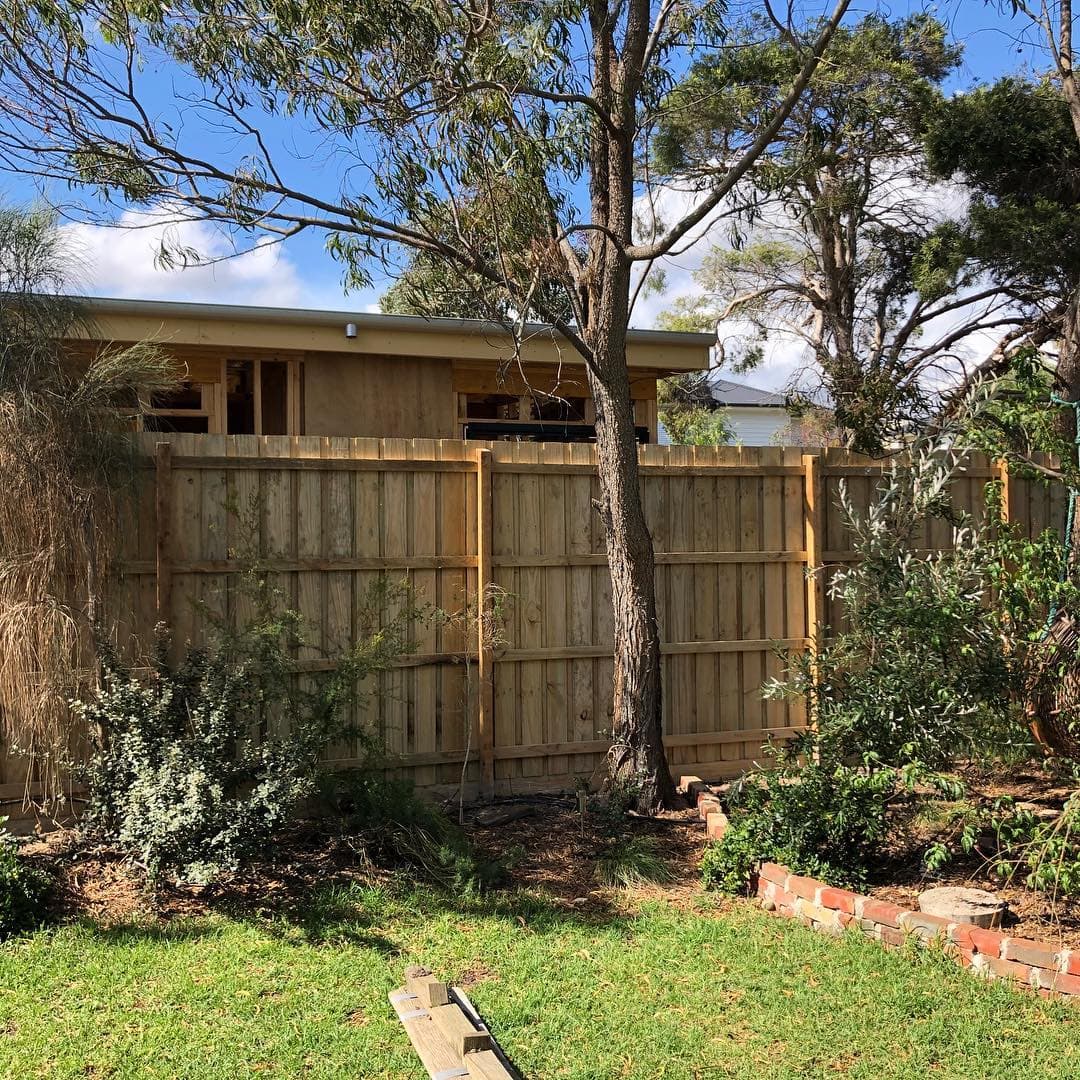 Timber paling fence along a back garden, behind a gum tree and garden beds